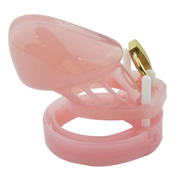 short male chastity cage - The Love Zone